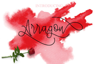 Arragon Typeface: Elevate Handmade Branding with Elegant Swashes