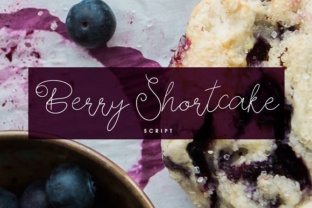 Berry Shortcake: A Charming Script Amp Font for Handmade Brands