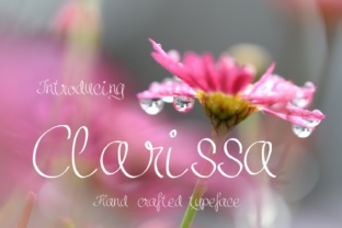 Clarissa Script Amp: Elevate Your Brand Identity