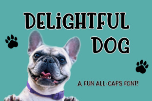 Delightful Dog: A Playful Display Typeface for Editorial Design
