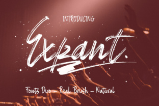 Expant: The Hand-Painted Brush Font for Artisan Brands