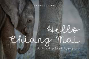 Hello Chiang Mai Font Review: A Stylish Script for Creative Branding