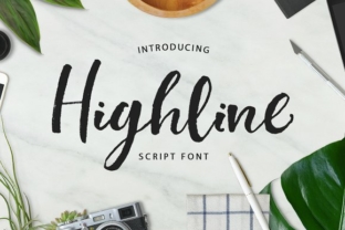 Highline Typeface: Elevate Your Brand’s Visual Identity