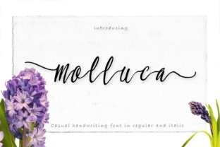 Molluca Typeface: Elevate Campaign Visuals With Smooth Script Typography