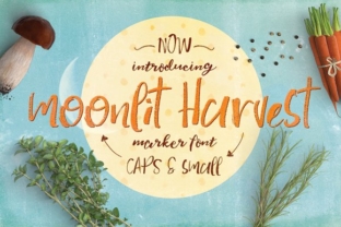 Moonlit Harvest Font Review: A Handcrafted Script for Elegant Branding