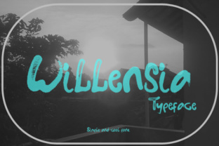 Willensia Font: A Versatile Typeface for Web Designers